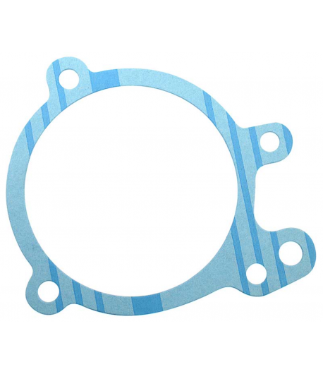 Joint de pompe à eau - Ford Mustang 1969/74 V6 250